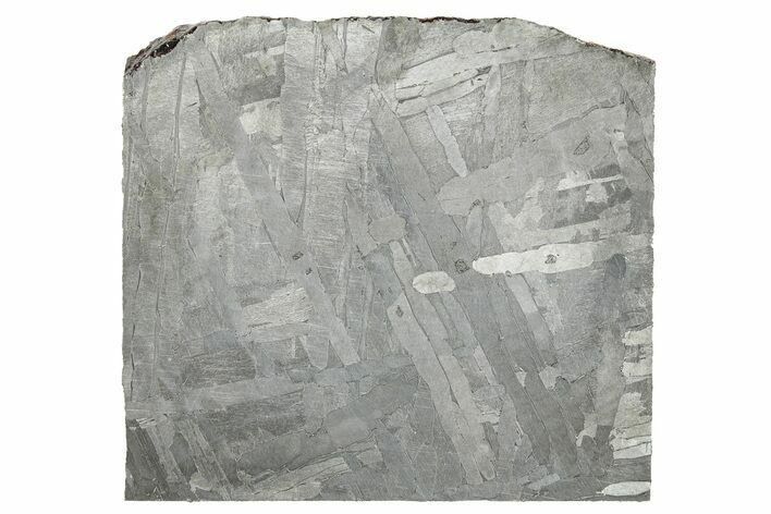 Etched Seymchan Meteorite Slice ( g) - Russia #265008